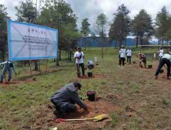 Vale Rehabilitasi DAS di Tator, Tanam 424 Ribu Bibit Pohon