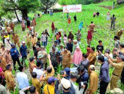 Kades di Jeneponto yakin Program Pj Gubernur Dongkrak Pendapatan Petani