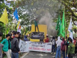 Mahasiswa Demo Desak 4 Kepala Daerah di Luwu Raya Kawal Pemekaran Luwu Tengah