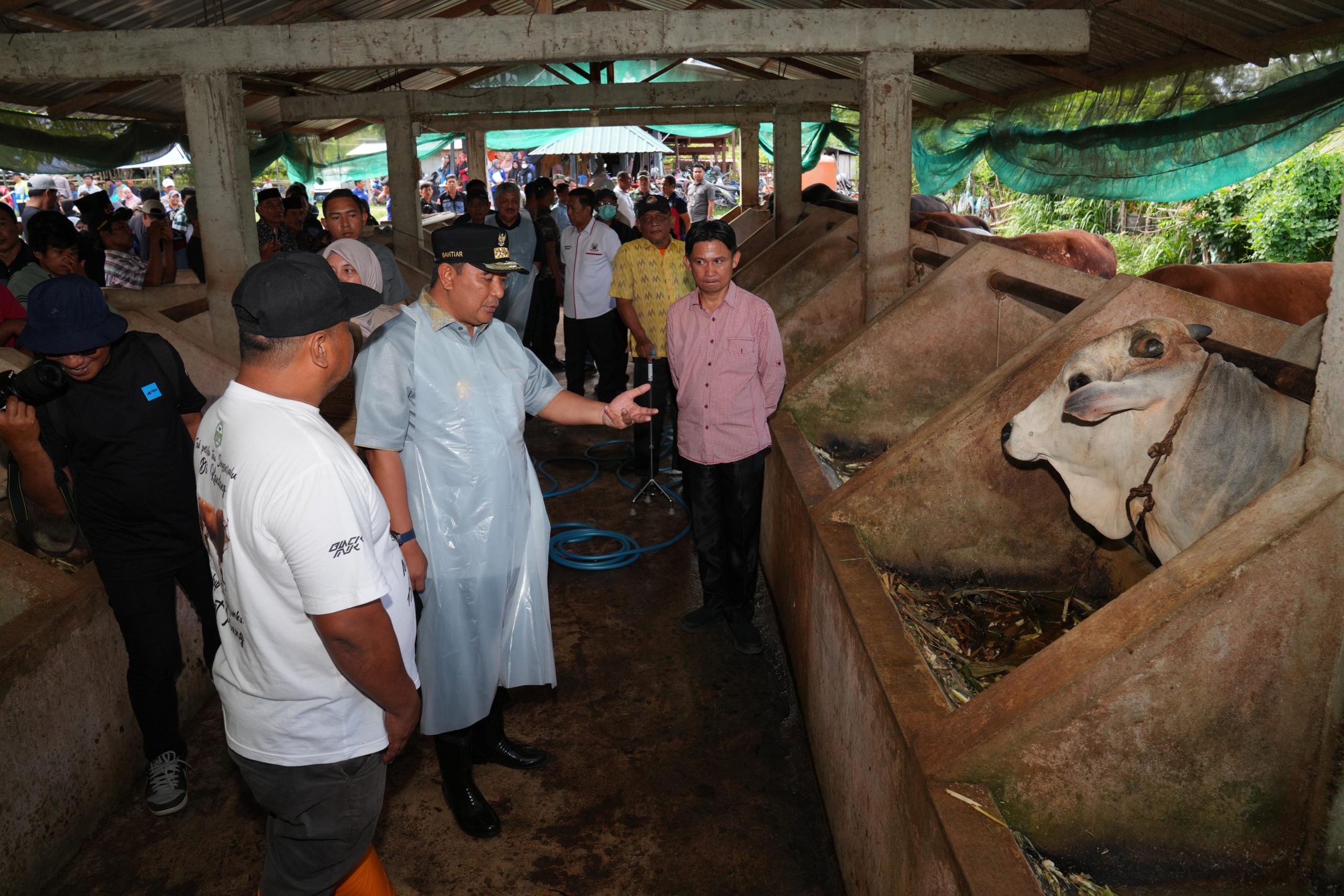 Kunjungi Bangsal Pasca Panen, Pj Gubernur Lihat Proses Inseminasi Buatan di Pinrang