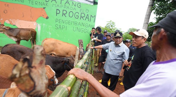 Inseminasi Buatan Harapan Baru Peternak Bulukumba Tingkatkan Produksi