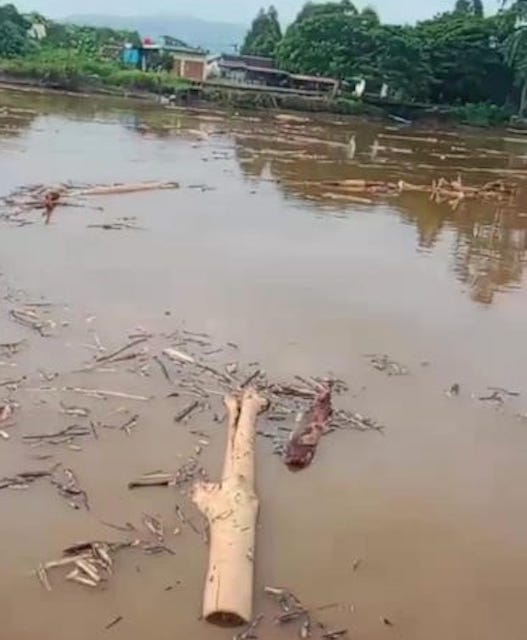 Dibanjiri Potongan Kayu, IPMA Lutim Desak DLH Usut Dugaan Pencemaran Sungai