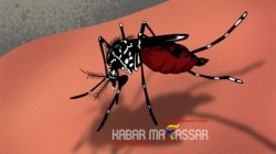 Kasus DBD di Sulsel Tembus 4.975, Dinkes Imbau Masyarakat Waspada Nyamuk Aedes