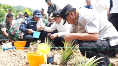 Galakkan Tanaman Hortikultura, Pj Gubernur Dorong Produksi Nanas Hingga 1.000 Hektare