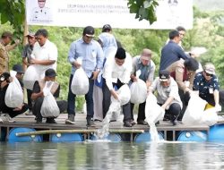 Pj Gubernur Tebar 200 Ribu Benih Ikan di Barru