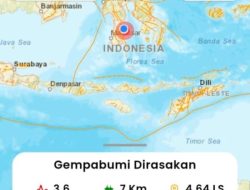 Gempa Magnitudo 3,6 Guncang Wilayah Bone