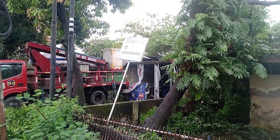 Pohon Tumbang di Makassar Timpah Rumah Warga, Kerugian Capai Rp 5 Juta