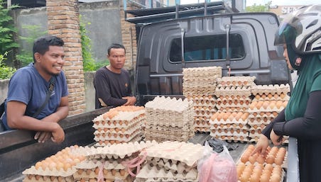 Harga Telur di Bulukumba Tembus Rp 65 Ribu