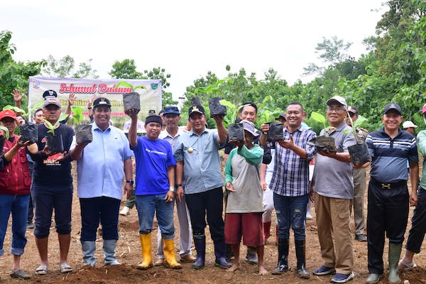 Konsen Kelestarian Rammang-rammang, Pj Gubernur Tanam Sukun-Tebar Benih Ikan