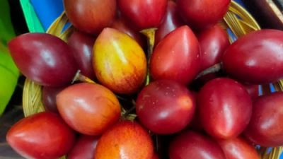 Manfaat Tamarillo Alias Terung Belanda yang Kaya Sumber Vitamin A-C