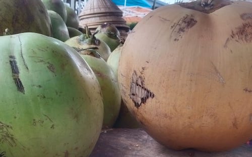 Beda Warna Beda Khasiat, Kenali Buah Kelapa Dengan Sejuta Manfaat