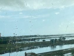 Luwu Utara Hingga Makassar Diprediksi Dilanda Hujan Lebat Siang Ini