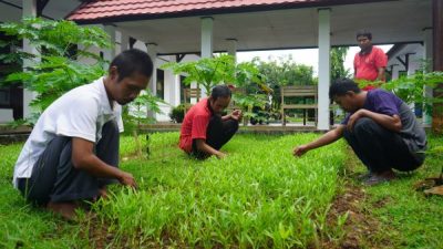 Sentra Wirajaya Kementerian Sosial Makassar Melatih ODGJ Mandiri dengan Berkebun