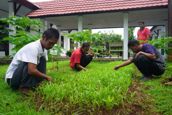 Sentra Wirajaya Kementerian Sosial Makassar Melatih ODGJ Mandiri dengan Berkebun