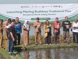 eFishery Dorong Pertumbuhan Ekonomi dan Wujudkan Ekosistem Berkelanjutan di Sulsel