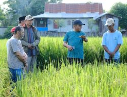 Dorong Budidaya Benih Padi, Pj Bupati Minta Petani Gunakan Teknologi Penangkaran