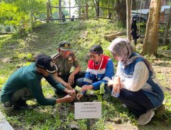 Pertamina Terminal Parepare Tanam 2.500 Pohon di Kebun Raya Jompie