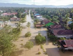 Banjir di Luwu Utara Rendam 10 Desa