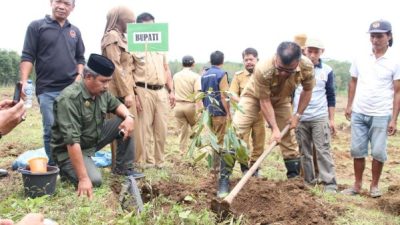 Tidak Hanya Bibit Unggul, Petani Bulukumba Juga Dibantu Pembersihan Lahan