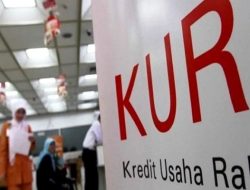 Penyaluran KUR Sulsel Capai Rp5,55 Triliun, Naik 86,85 Persen dari Tahun Lalu