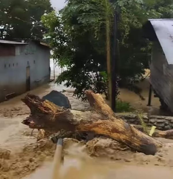 Tanah Longsor Terjang Luwu, 5 Korban Dilaporkan Meninggal Dunia