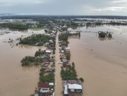 Banjir dan Longsor di Luwu, 14 Orang Meninggal 2 Dalam Pencarian
