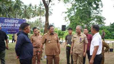 Komoditas Sukun dan Pisang Buka Peluang Baru Bagi Petani Sulbar