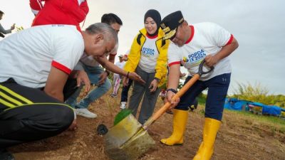 Pj Gubernur Sulbar Jadikan Mamuju Tengah Pilot Projects Pengembangan Pisang Cavendish