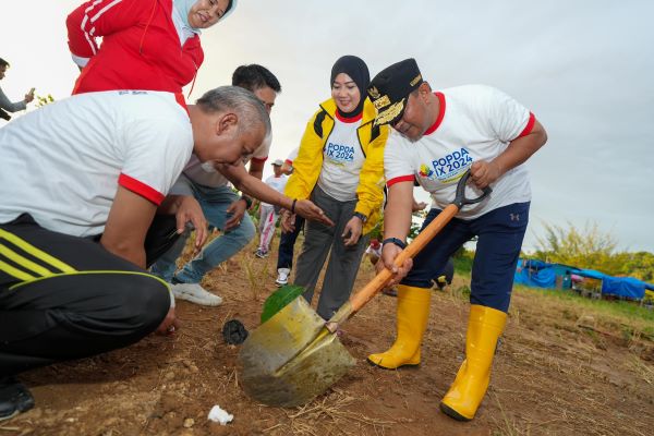 Pj Gubernur Sulbar Jadikan Mamuju Tengah Pilot Projects Pengembangan Pisang Cavendish