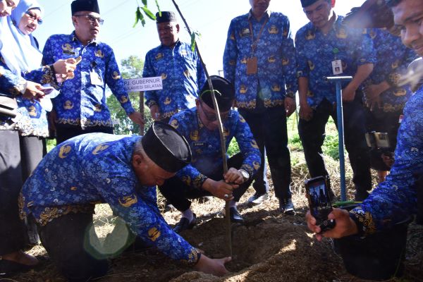 Atasi Bencana dengan Gerakan Sulsel Menanam, DLHK Dukung Program Pj Gubernur