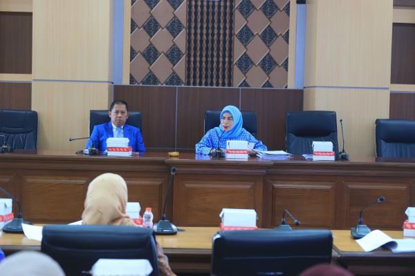 Ketua Pansus Rismawati Sebut Ranperda Kesehatan Ibu dan Anak Urgent