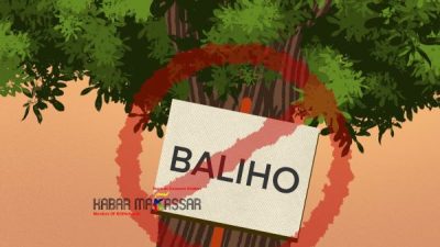 DLHK Sulsel Imbau Peserta Pilkada Tidak Pasang APK Baliho di Pohon