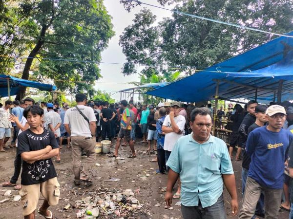 Meresahkan, Warga Takalar Minta Polisi Tindak Judi Berkedok Sabung Ayam