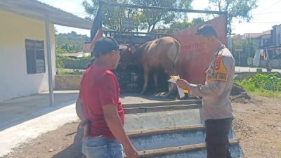 Berantas Curnak, Polsek Sinjai Timur Kembali Cek Dokumen Ternak yang Melintas