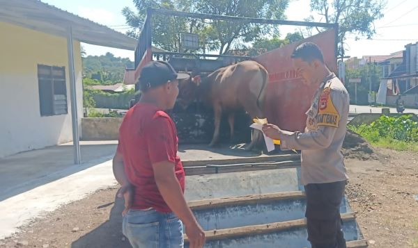 Berantas Curnak, Polsek Sinjai Timur Kembali Cek Dokumen Ternak yang Melintas