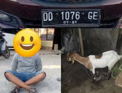 Berhasil Kabur Dari Kejaran Warga, Pelaku Curnak di Jeneponto Akhirnya Diringkus