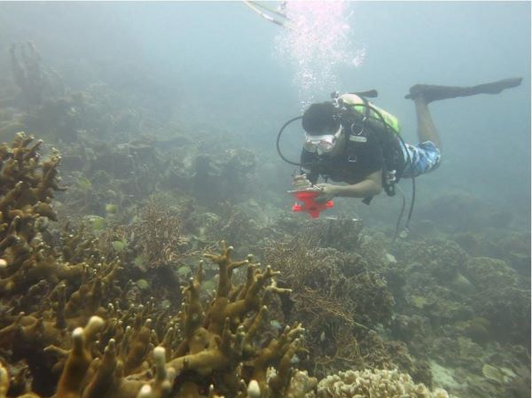 Yayasan Maero Gelar Aksi Rehabilitasi Terumbu Karang di Pulau Bontosua Pangkep