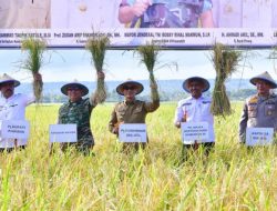 Sektor Pertanian Dominasi Kontribusi Pertumbuhan Ekonomi Sulsel Triwulan II