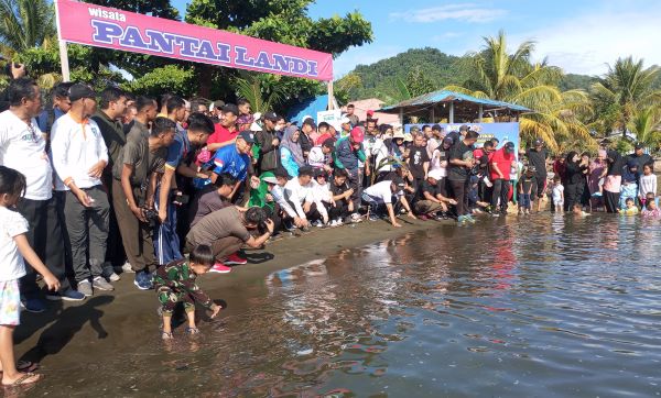 Lepas Tukik, Pj Bahtiar Apresiasi Gerakan Peduli Lingkungan di Mamuju