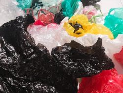 Idul Adha, Pemkab Bulukumba Imbau Warga Tak Gunakan Plastik : Ada Sanksinya!