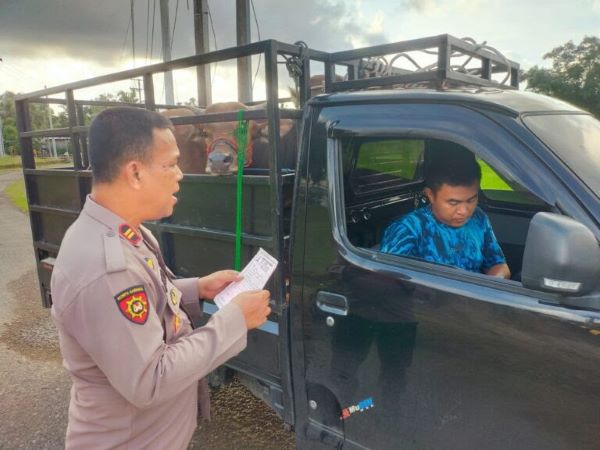 Jelang Idul Adha, Polres Sinjai Gelar Oprasi Berantas Curnak