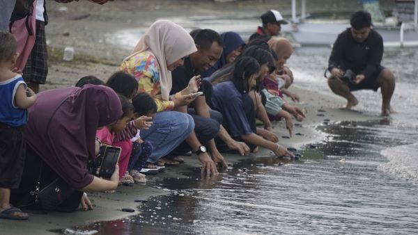 Edukasi Masyarakat, Pengelola Wisata Pantai Landi Lakukan Pelepasan Tukik