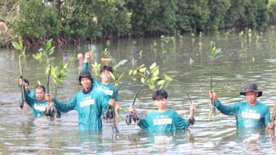 Kolaborasi eFishery dan BRPBAP3 Maros, Tanam 1.500 Mangrove