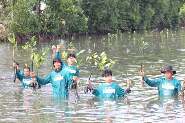 Kolaborasi eFishery dan BRPBAP3 Maros, Tanam 1.500 Mangrove