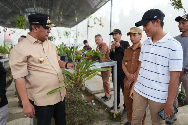 Anggrek Mamasa Segera Mendunia, Pemprov Sulbar Dorong Konservasi Skala Besar