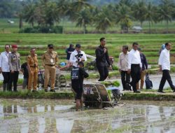 Pj Gubernur Dampingi Presiden Jokowi dan Mentan Amran Kunker di Bone