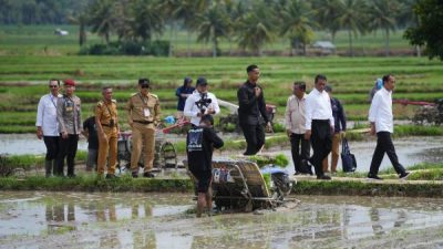 Pj Gubernur Dampingi Presiden Jokowi dan Mentan Amran Kunker di Bone