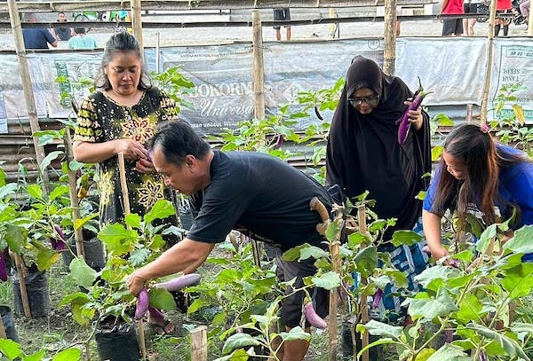 Longwis Sipakalebbi Panen Urban Farming Warga