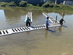 Sawah Tergenang Air, Mahasiswa Unhas Luncurkan Inovasi Padi Apung di Maros