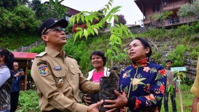 Mitigasi Perubahan Iklim, Pj Gubernur Sulsel Tanam Bibit Pohon di Lolai